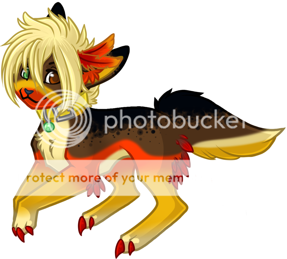 User Image